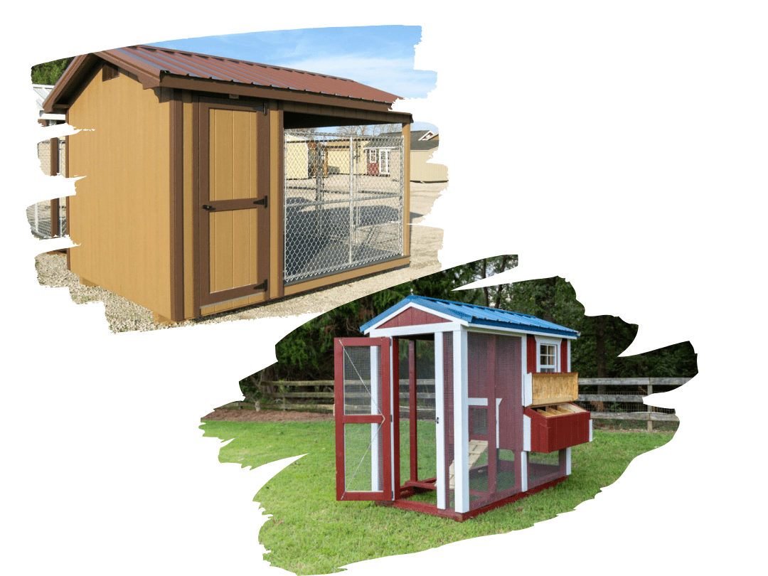 animal shelters